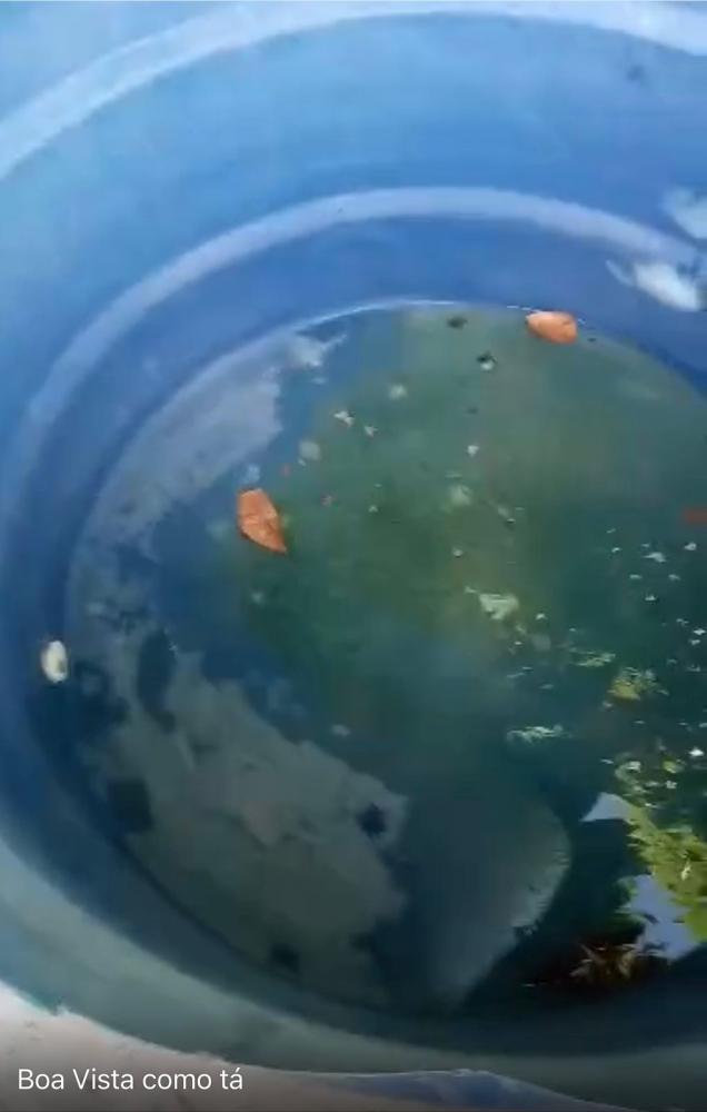 Foto: Divulgação/Irará Livre