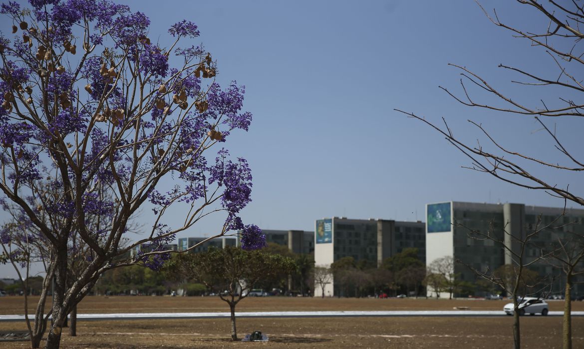 Esplanada dos Ministérios recebe preparativos para o desfile cívico-militar de 7 de Setembro Foto: José Cruz