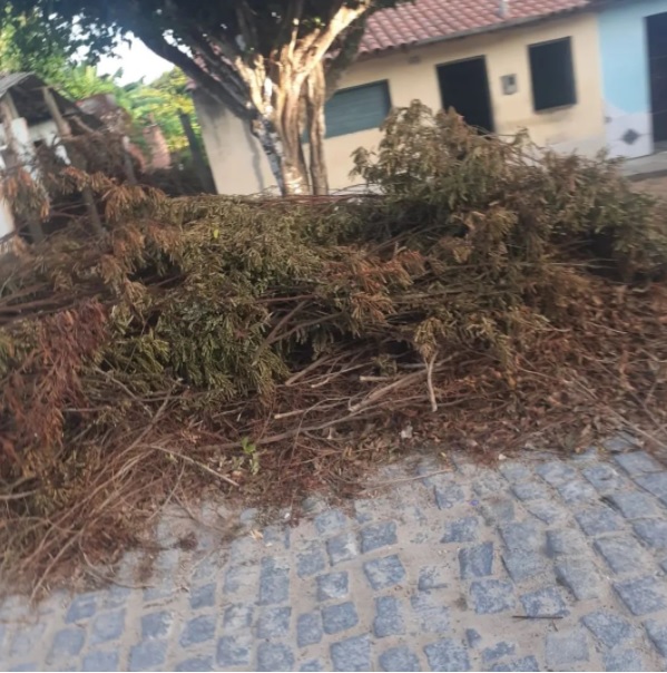 Foto: Divulgação/Denuncia da População