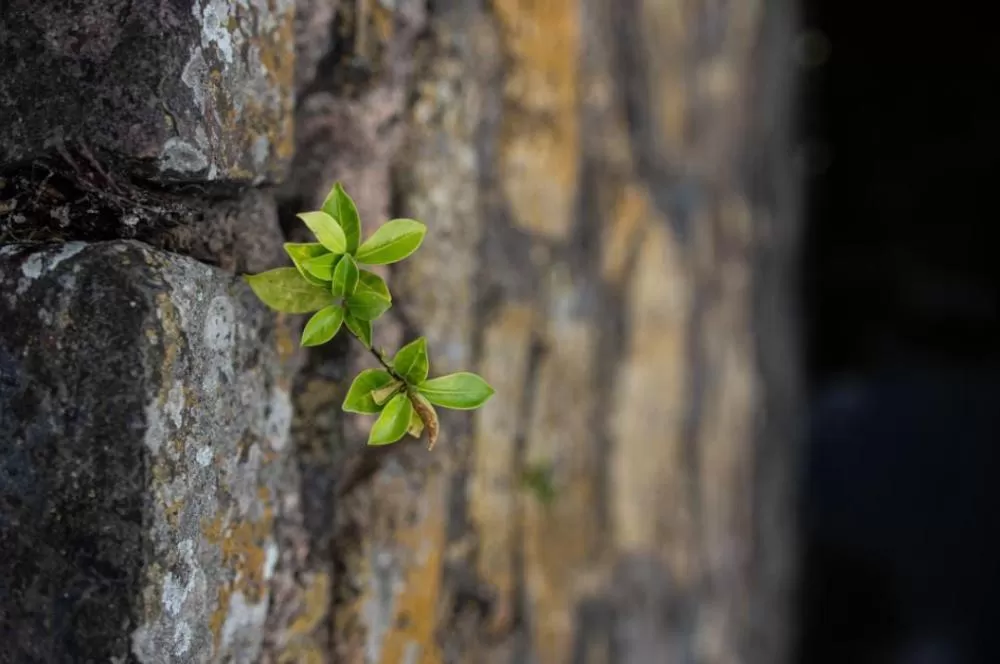Fotos: Gabriel Moreno