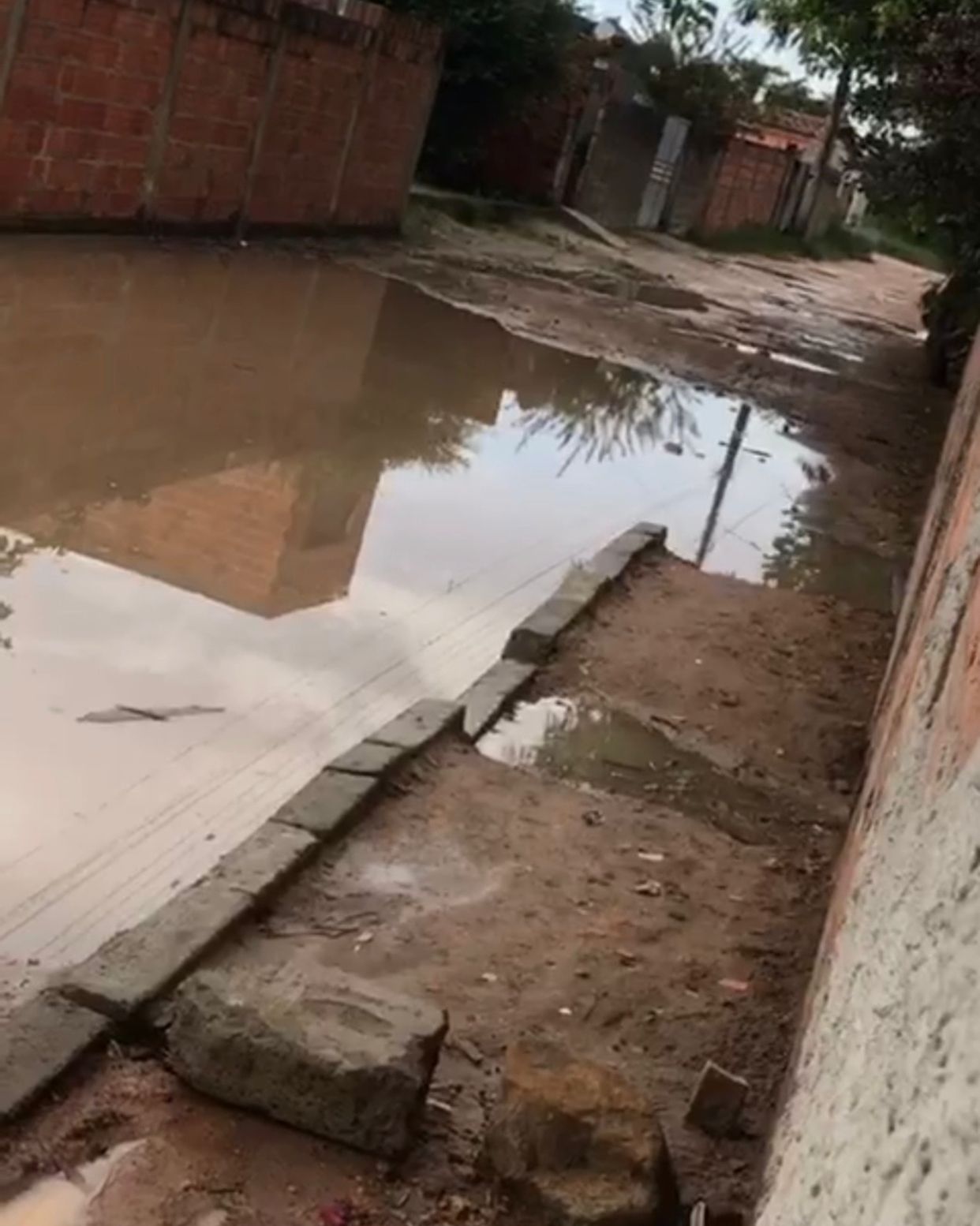 Foto: Reprodução/Whatsapp Irará Livre