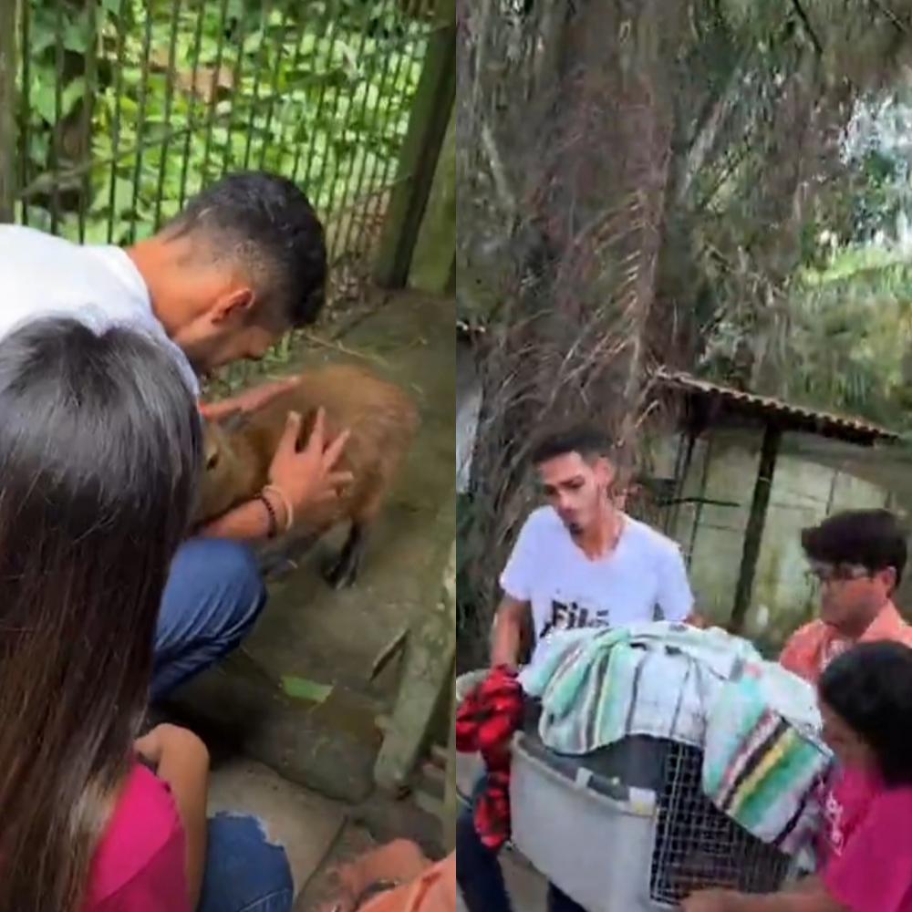 Foto: (Reprodução/ Instagram)