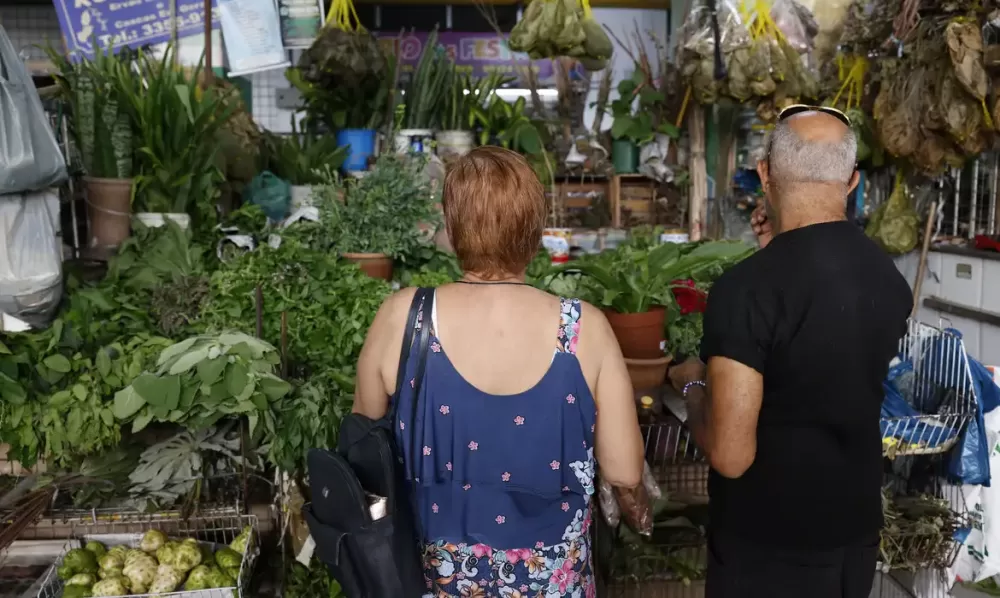 Foto: Fernando Frazão